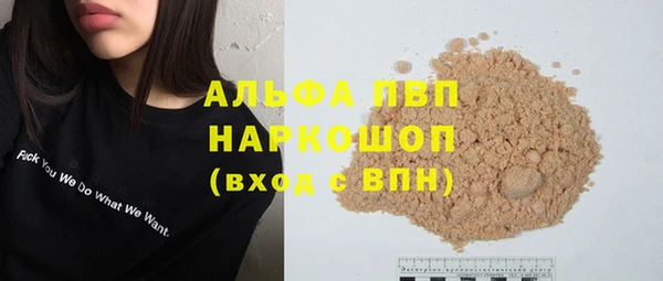 эйфоретик Билибино