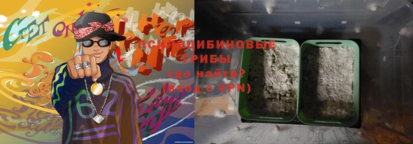 индика Алексин