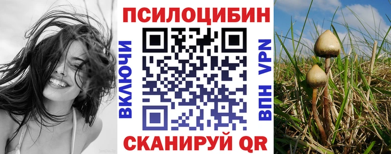 Псилоцибиновые грибы Psilocybe  Поворино 